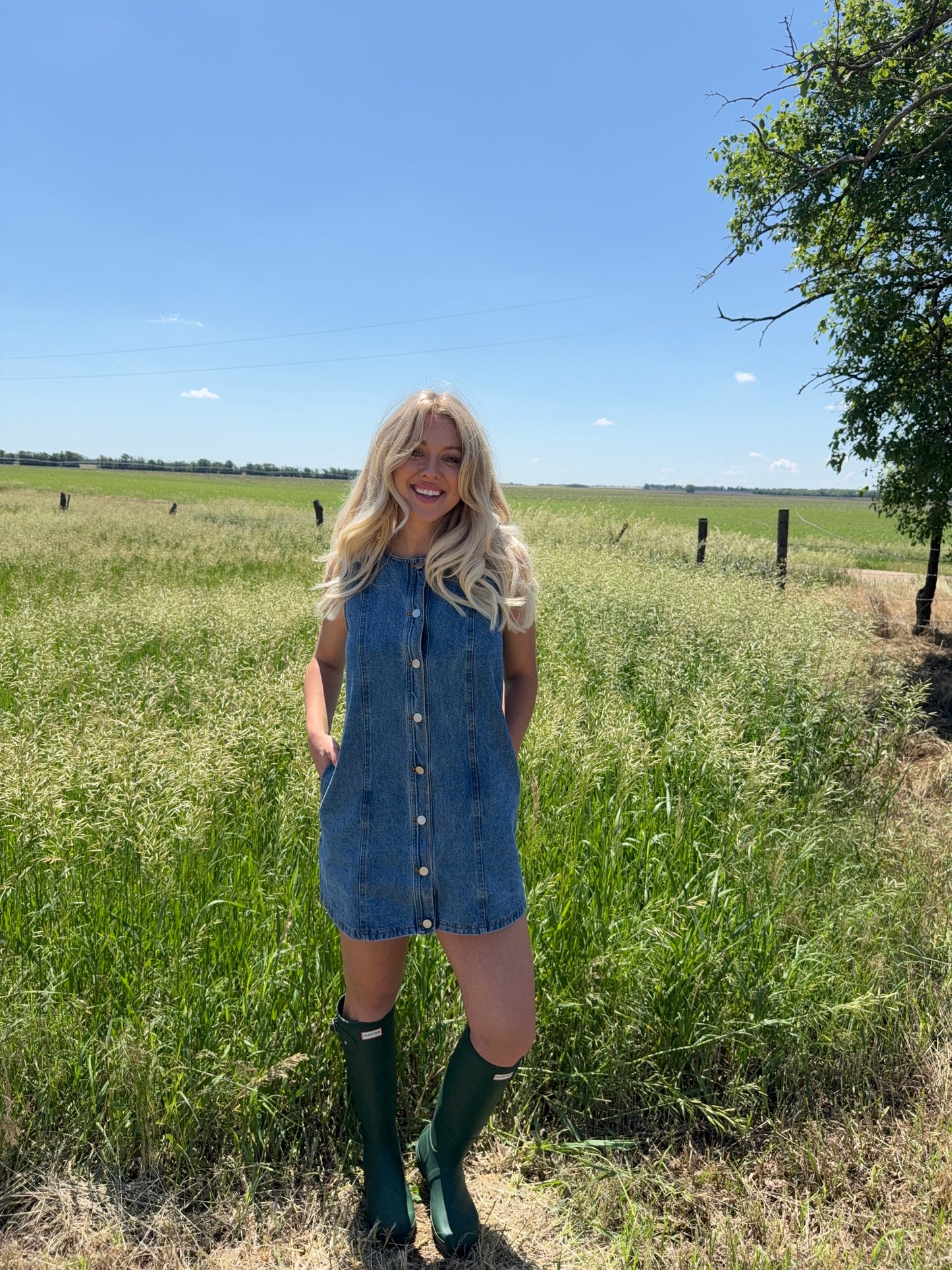 Lainey Denim Dress