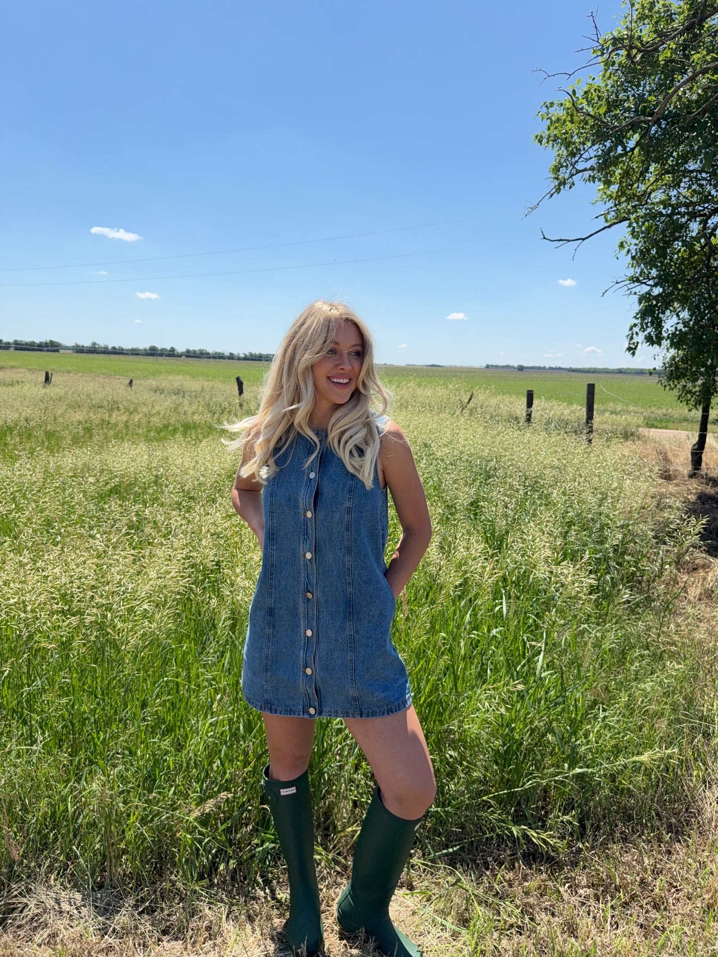 Lainey Denim Dress