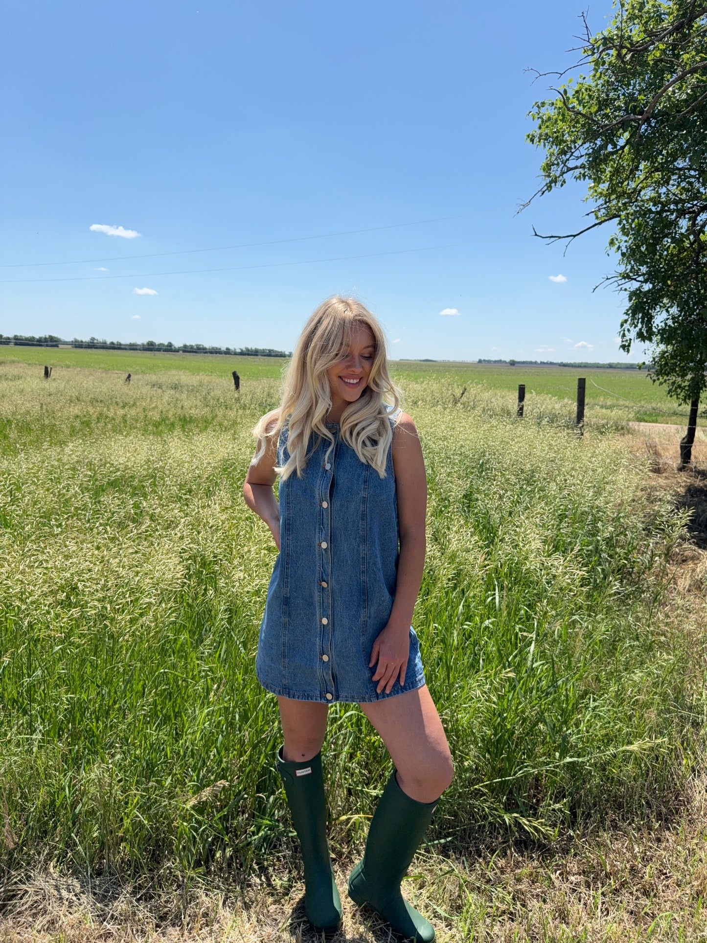 Lainey Denim Dress