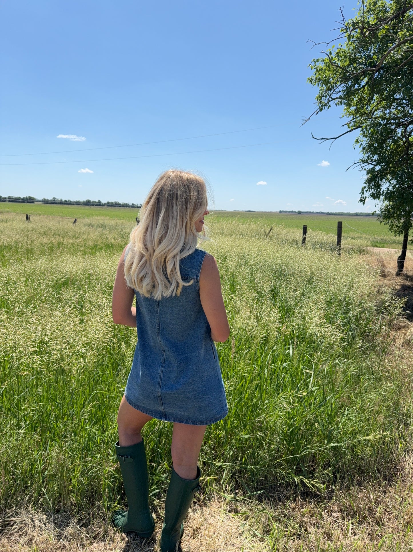 Lainey Denim Dress